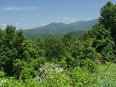 View of Balsam Mnt