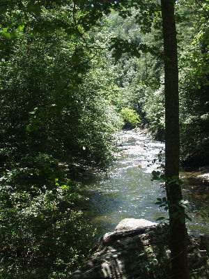 Little River in Park