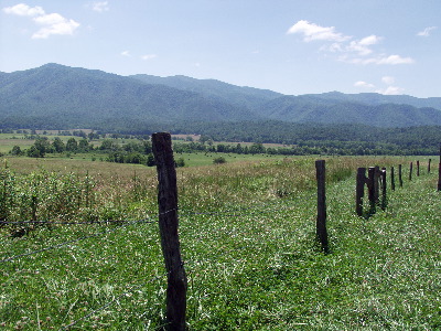 Scenic Drive in Cades Cove