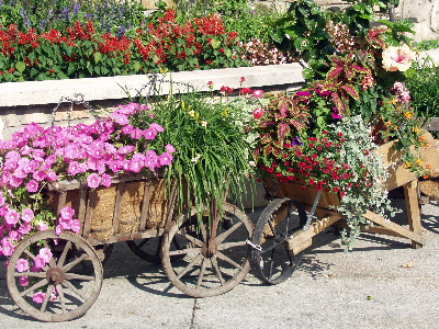 Flower cart