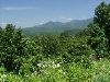 View of Balsam Mnt