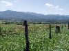 Scenic Drive in Cades Cove