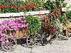 Flower cart