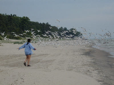 Point Beach State Park