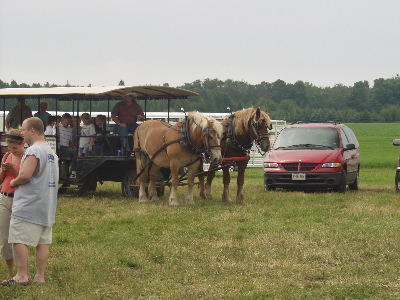 Horse rides