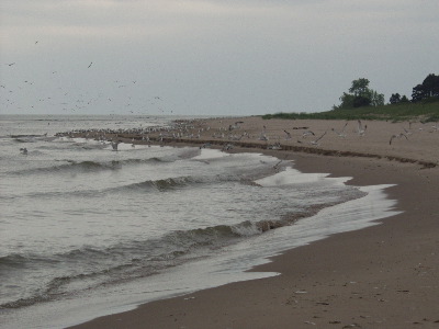 Point Beach- Lake Michigan