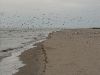 Point Beach- Lake Michigan